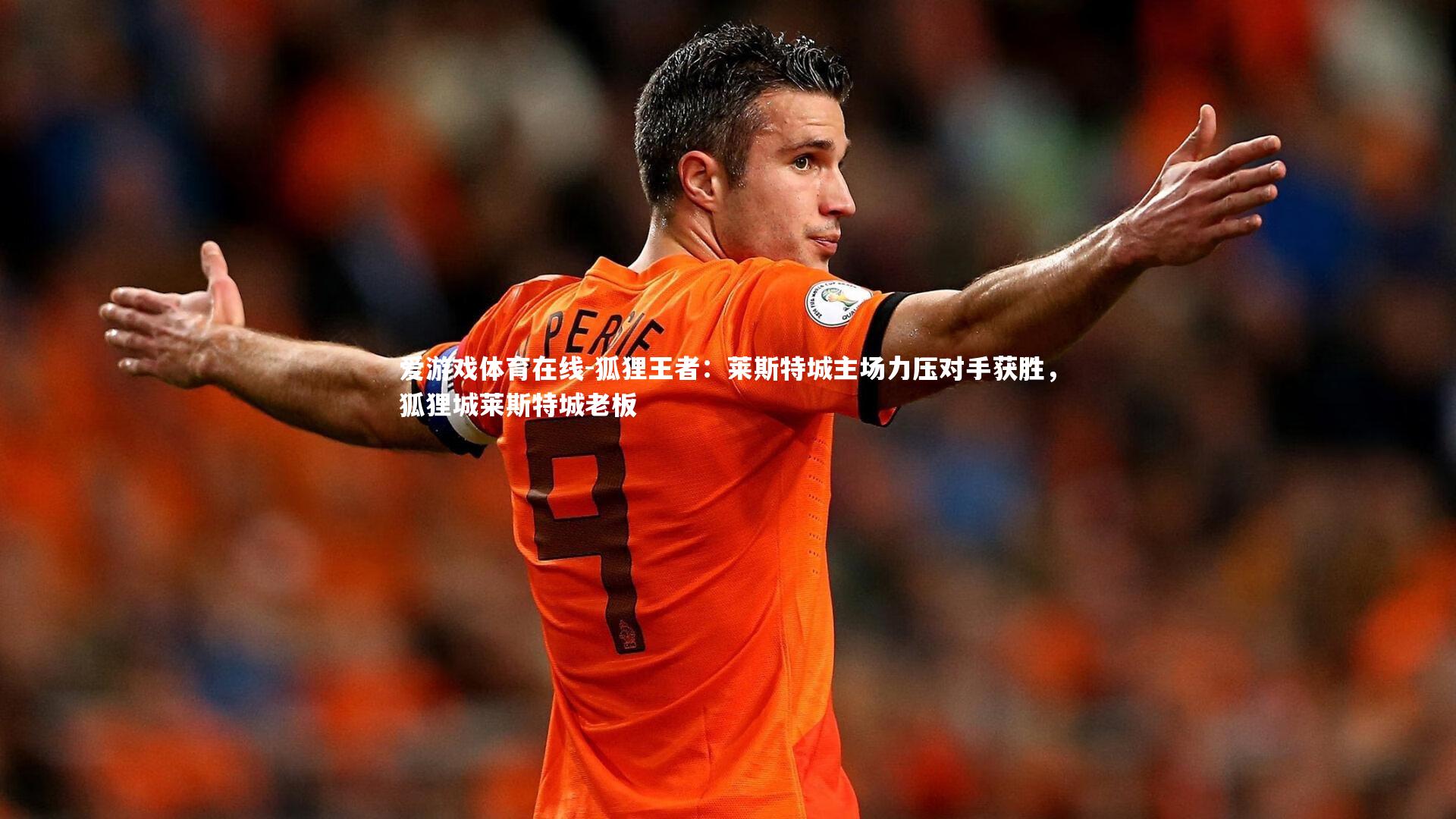 狐狸王者:莱斯特城主场力压对手获胜,狐狸城莱斯特城老板