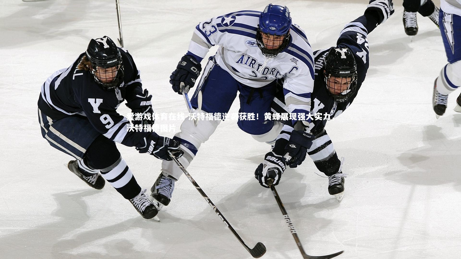 沃特福德逆袭获胜!黄蜂展现强大实力,沃特福德图片