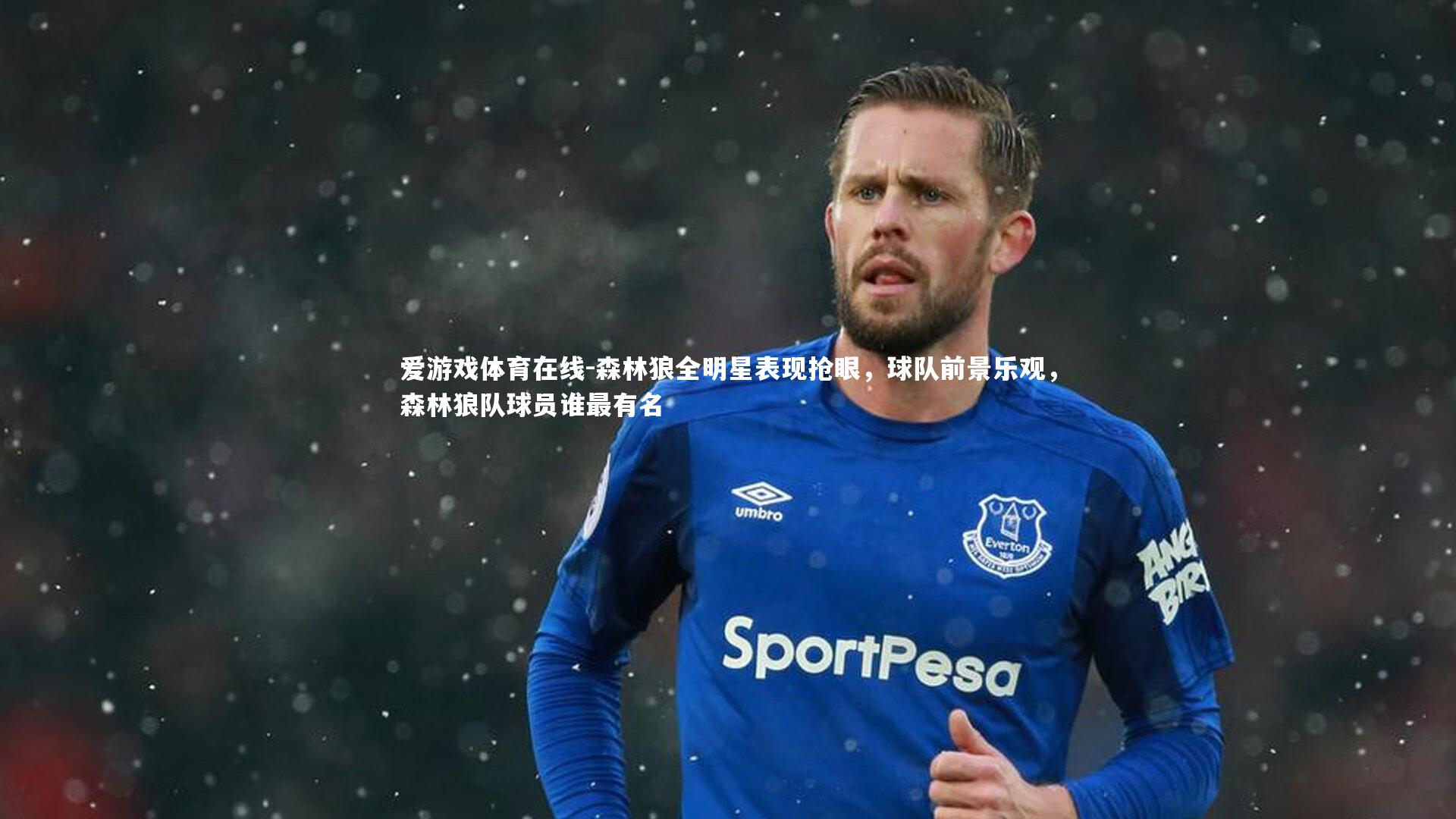 森林狼全明星表现抢眼,球队前景乐观,森林狼队球员谁最有名
