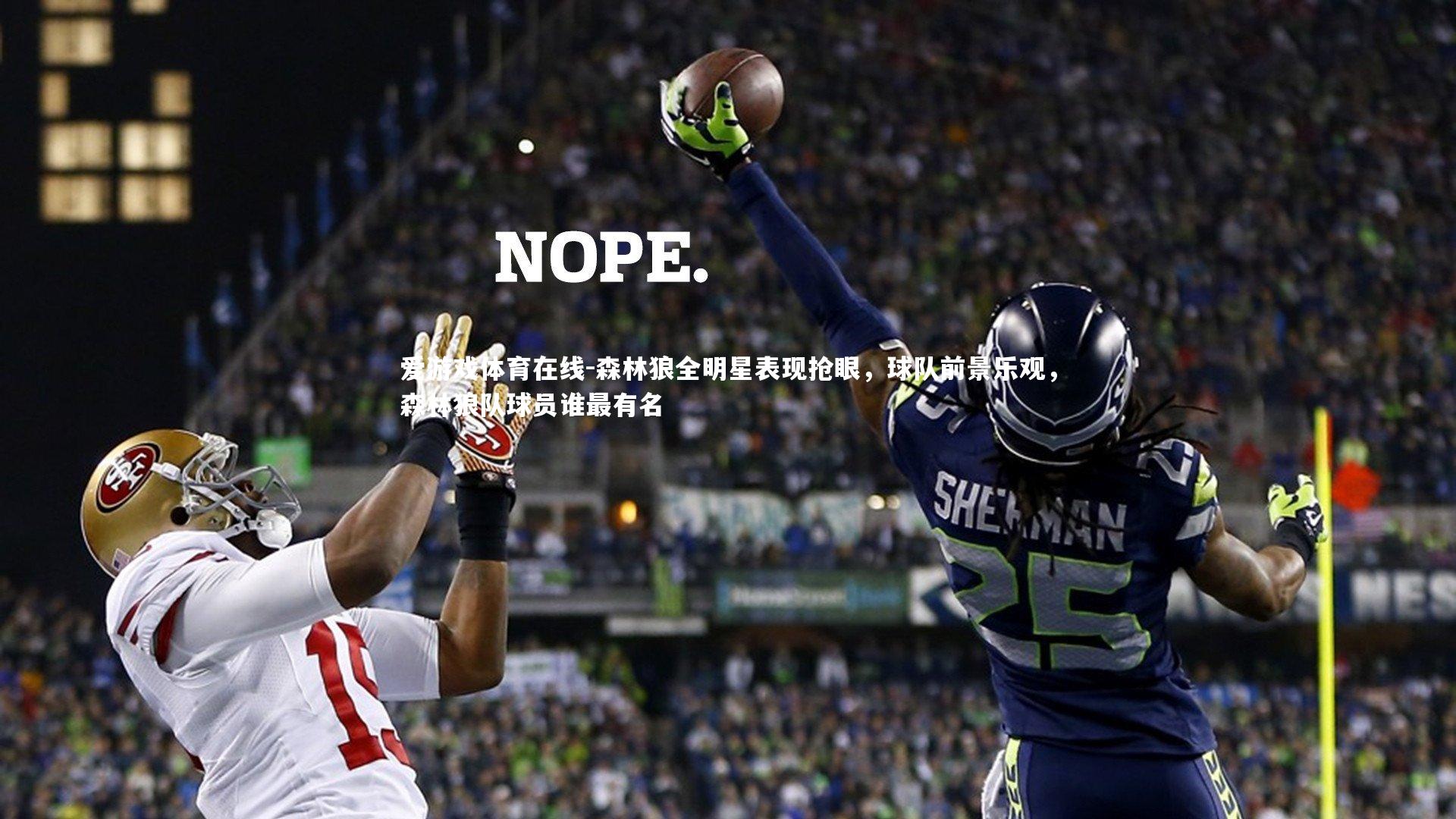 森林狼全明星表现抢眼,球队前景乐观,森林狼队球员谁最有名