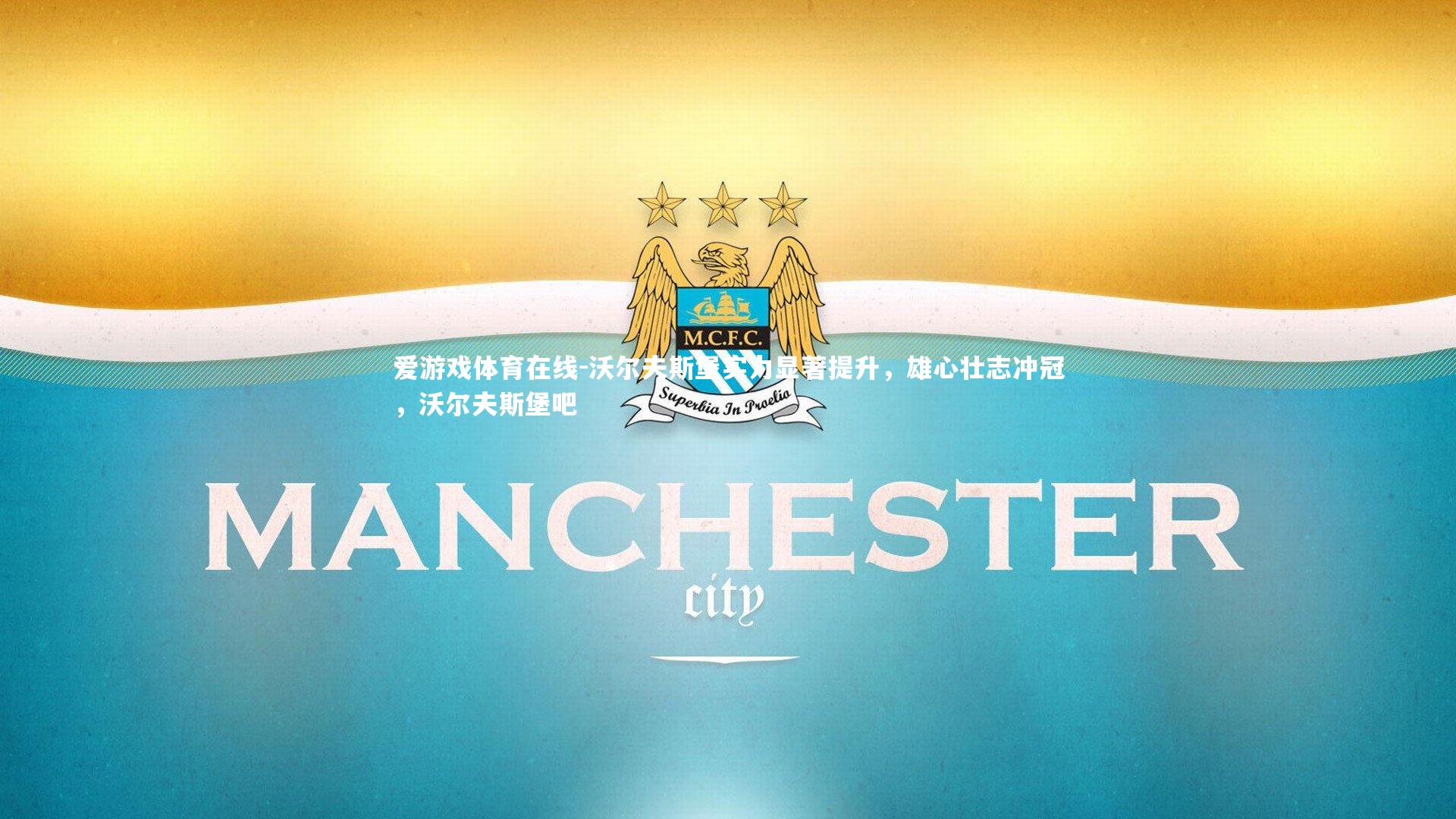 沃尔夫斯堡实力显著提升,雄心壮志冲冠,沃尔夫斯堡吧